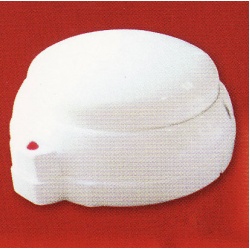 Rate-of-Rise Heat Detector